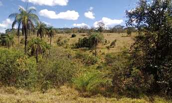 Imagem: Terreno 29ha, terra boa e quase todo formado