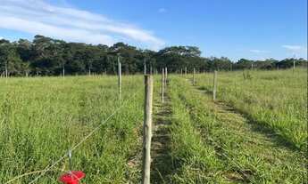 Imagem 4: Fazenda de luxo 36ha toda formada, lagoa de peixes, córrego, poço artesiano, Jaboticatubas