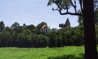 Imagem 5: Chácara - CAMPO ALEGRE/SC