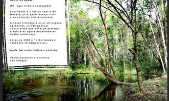 Imagem 6: Lotes especiais de 1000m2 no km 6 em Itacaré