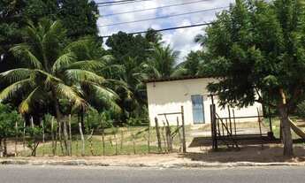 Imagem 3: Área com 8.904m² à venda em Liberdade - Parnamirim