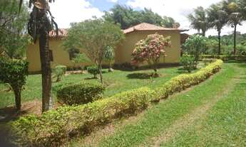 Imagem 4: Fazendinha de 17 hectares plana a 6.5 km da MG 10!