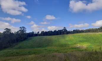 Imagem 6: Vende-se terreno de 500