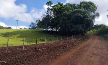 Imagem 6: Vendo Chácara em laj. Pilão - Alecrim -RS
