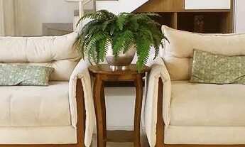 Imagem 5: Condomínio Vilar Primavera - Final do Bueno