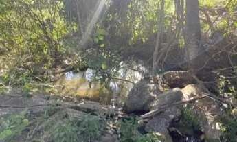 Imagem 4: 2 Alqueires sem benfeitoria com energia trifásica em Prof. Jamilrifasica