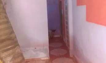 Imagem 6: Vendo ou alugo casa Alto de são Miguel Abreu e lima