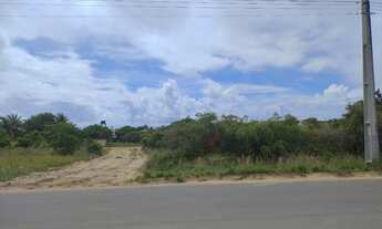 Imagem 2: Lotes beira de pista Carapibus