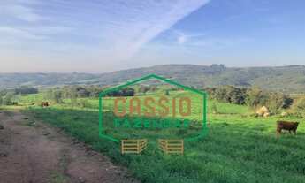 Imagem 2: Fazenda 370 hectares