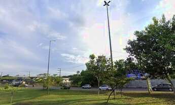 Imagem 5: Grande área á venda na Av Torquato Tapajós o antigo Selva Park com 142 mil m2