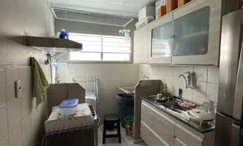 Imagem 4: Parque das Violetas