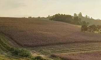 Imagem 2: APENAS 10 UNIDADES PROMOÇÃO IMPERDIVEL!