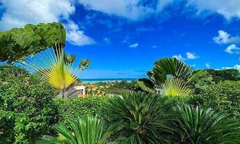 Imagem 4: Lote Terreno no Condomínio Atlantis em Garça Torta em Maceió