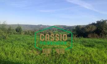 Imagem 4: Fazenda 370 hectares