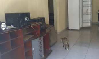 Imagem 6: Casa com piscina em pontas de pedra