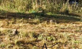 Imagem 4: Terreno para venda tem 1000 metros quadrados em Rio Acima - Mairiporã - SP