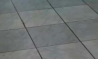 Imagem 3: Casa de fundo Casa com 1 dormitório