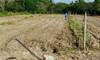 Imagem 4: Propriedade rural 9 hectares