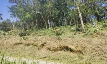 Imagem 2: Terreno 1000metros Ponundúva