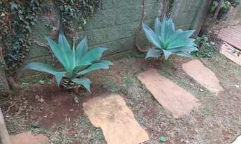 Imagem 7: Casa de 03 quartos, 02 suítes e 02 vagas