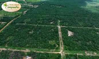Imagem 6: Lote Chácara Condomínio Chácaras Campestre - Seabra/BA