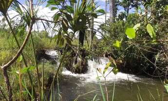 Imagem 4: Vendo Fazenda Pacary