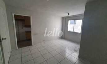 Imagem 5: São Paulo - Apartamento Padrão - Higienópolis