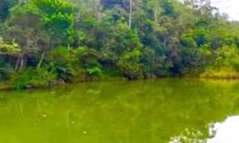 Imagem 7: Terreno para venda tem 1000 metros quadrados em Rio Acima - Mairiporã - SP