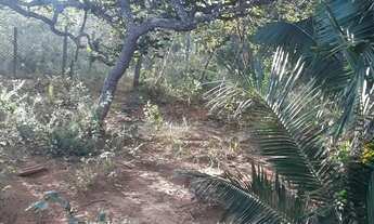 Imagem 2: Terreno em planalto rural