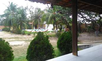 Imagem: Fazenda/Sítio/Chácara para venda possui