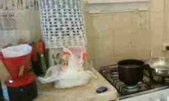 Imagem 6: Alugo casa para "Festa do Peão de Barretos SP"