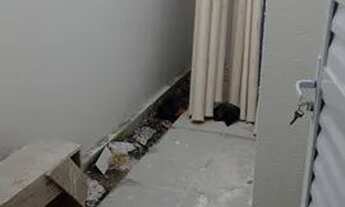 Imagem 5: Casa para venda com documentação inclusa