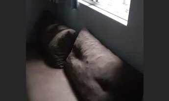 Imagem 3: Kitinet Mobiliado Centro Salvador