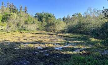 Imagem 11: Sítio Plano E Com Nascente Para Fazer Açude. ROB:608