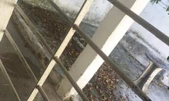 Imagem 5: Casa Casa com 3 dormitórios