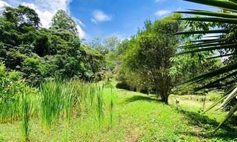 Imagem 6: Vendo chácara com bastante agua 110 mil em domingos Martins