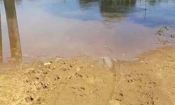 Imagem 2: Fazenda de Oportunidade ! Região de Jussara-Go ! 218.5 Alqueires !