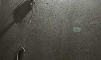 Imagem 5: Vende_se Casa com 2 dormitórios