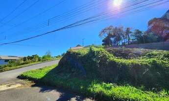 Imagem 4: Terreno para Venda em Nova Petrópolis, Logradouro