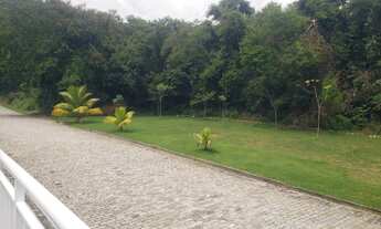Imagem: Fazenda Lotes para venda, terrenos a partir
