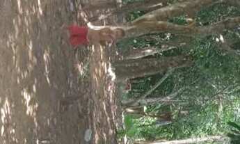 Imagem 7: Vende-se terreno área Rural