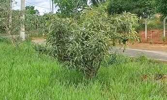 Imagem 7: CHÁCARAS com 1500 mts, financiados- R$13.770,00 mais parcelas