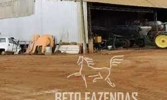 Imagem 5: Imóvel para venda possui 244330000 metros quadrados em Alto da Colina - Nova Mutum - MT