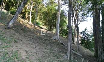 Imagem 7: Lote/Terreno, Piratininga - Ubá Terra Nova