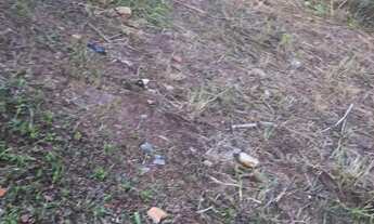 Imagem 2: Lote morro da cruz São Sebastião