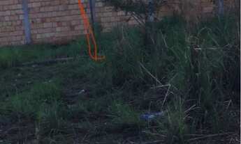 Imagem: Lote morro da cruz São Sebastião