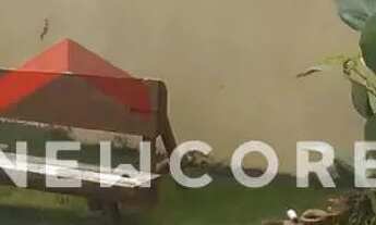 Imagem 5: Casa de condomínio em Rua Sergipe - Jauá (Abrantes) - Camaçari/BA