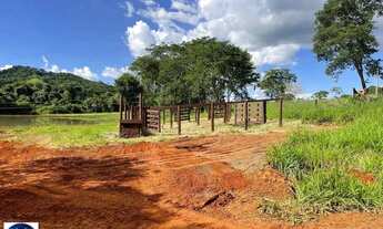 Imagem 5: Chácara à Venda em Araçu-GO 3,5 Alqueires com Represa Privativa