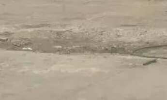 Imagem 2: Terreno à venda, 1888 m² por R$ 4.500.000,00 - Parque Boturussu - São Paulo/SP