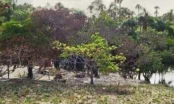 Imagem 5: Terreno à venda, 61273 m² por R$ 390.000,00 - Nossa Senhora Aparecida - Boa Vista/RR